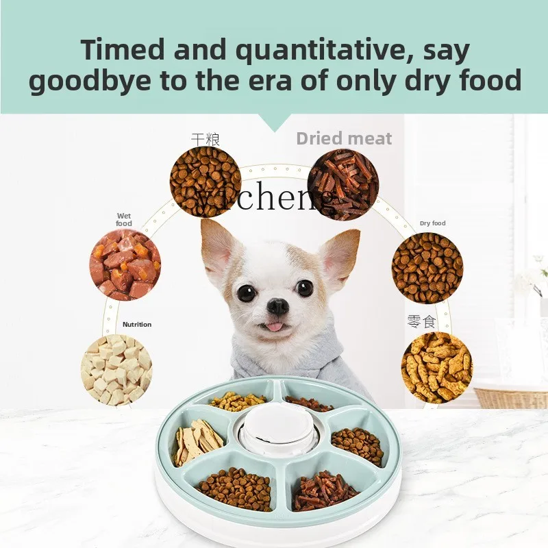 Distributeur automatique de no - Pet Feeders avis et prix